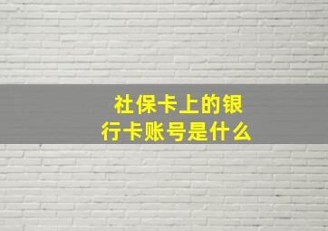 社保卡上的银行卡账号是什么