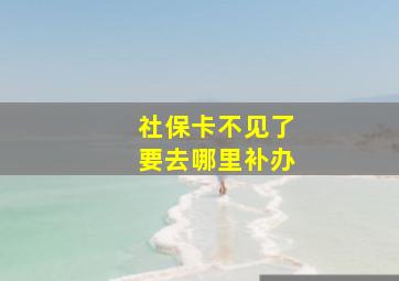 社保卡不见了要去哪里补办