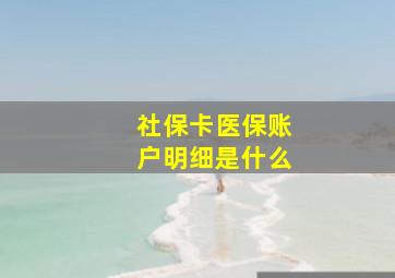 社保卡医保账户明细是什么