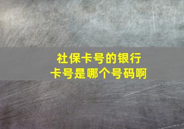 社保卡号的银行卡号是哪个号码啊