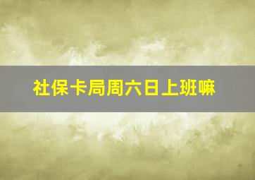 社保卡局周六日上班嘛