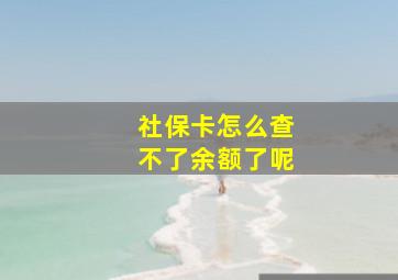 社保卡怎么查不了余额了呢