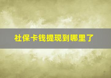 社保卡钱提现到哪里了