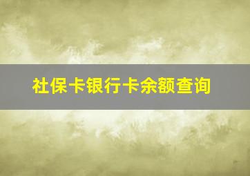 社保卡银行卡余额查询