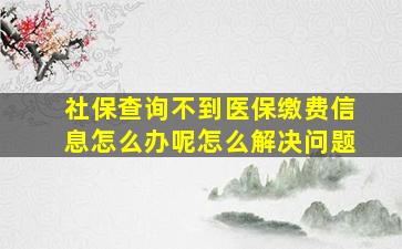 社保查询不到医保缴费信息怎么办呢怎么解决问题