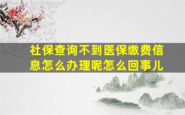 社保查询不到医保缴费信息怎么办理呢怎么回事儿