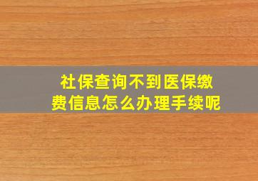 社保查询不到医保缴费信息怎么办理手续呢