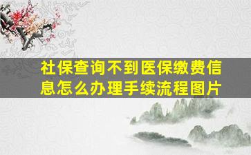 社保查询不到医保缴费信息怎么办理手续流程图片