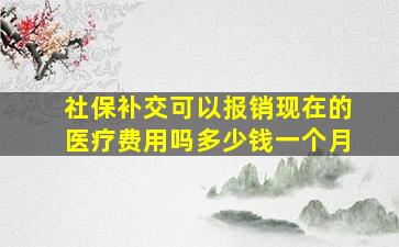 社保补交可以报销现在的医疗费用吗多少钱一个月