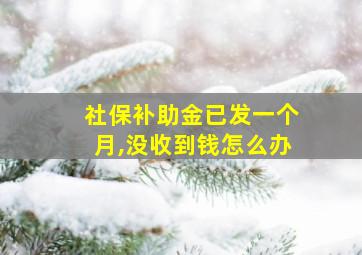 社保补助金已发一个月,没收到钱怎么办