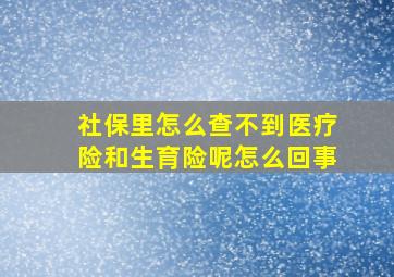 社保里怎么查不到医疗险和生育险呢怎么回事