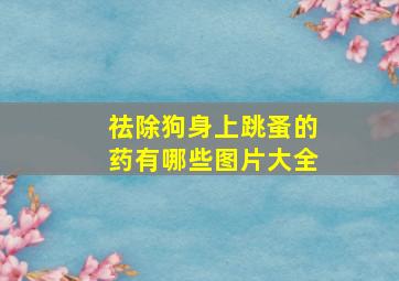 祛除狗身上跳蚤的药有哪些图片大全