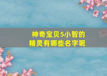 神奇宝贝5小智的精灵有哪些名字呢