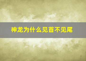 神龙为什么见首不见尾