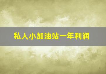 私人小加油站一年利润