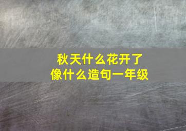 秋天什么花开了像什么造句一年级