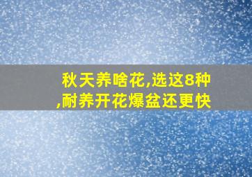 秋天养啥花,选这8种,耐养开花爆盆还更快