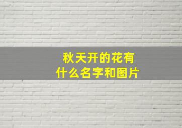 秋天开的花有什么名字和图片