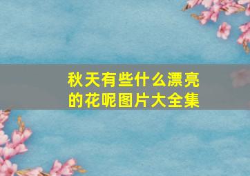 秋天有些什么漂亮的花呢图片大全集