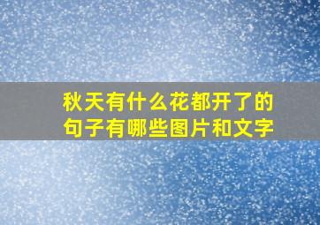 秋天有什么花都开了的句子有哪些图片和文字