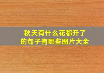 秋天有什么花都开了的句子有哪些图片大全