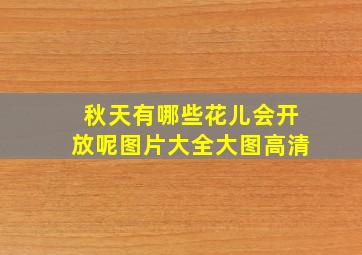 秋天有哪些花儿会开放呢图片大全大图高清