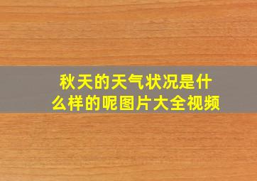 秋天的天气状况是什么样的呢图片大全视频