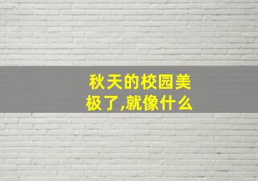 秋天的校园美极了,就像什么