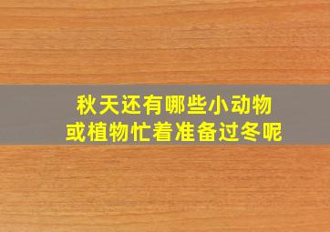 秋天还有哪些小动物或植物忙着准备过冬呢