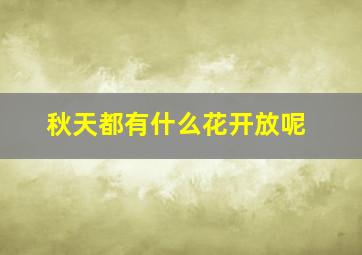 秋天都有什么花开放呢