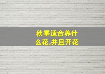 秋季适合养什么花,并且开花