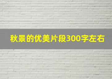 秋景的优美片段300字左右