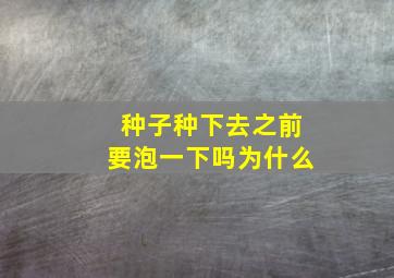 种子种下去之前要泡一下吗为什么