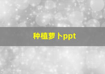 种植萝卜ppt