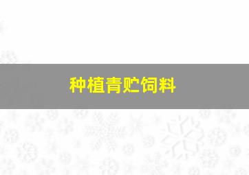 种植青贮饲料