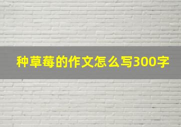 种草莓的作文怎么写300字