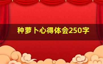 种萝卜心得体会250字