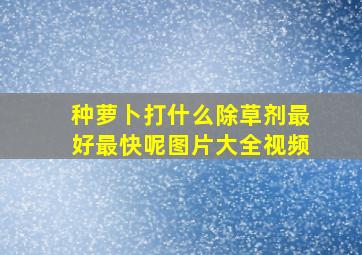 种萝卜打什么除草剂最好最快呢图片大全视频