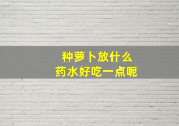 种萝卜放什么药水好吃一点呢