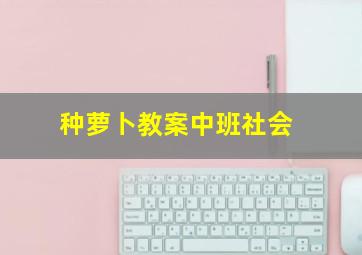 种萝卜教案中班社会