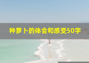 种萝卜的体会和感受50字