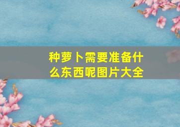 种萝卜需要准备什么东西呢图片大全