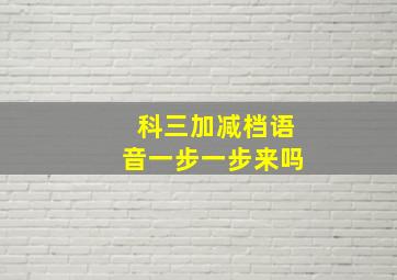 科三加减档语音一步一步来吗