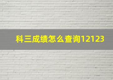 科三成绩怎么查询12123