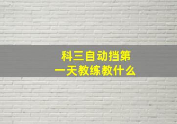 科三自动挡第一天教练教什么