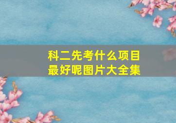 科二先考什么项目最好呢图片大全集