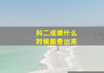 科二成绩什么时候能查出来