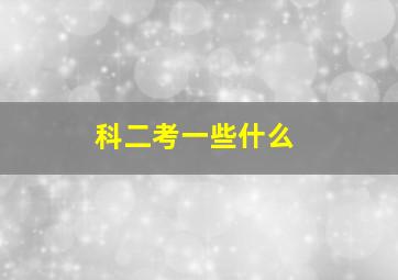 科二考一些什么