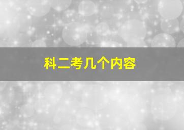 科二考几个内容