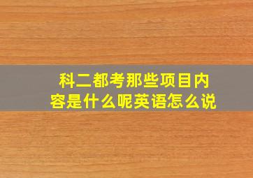 科二都考那些项目内容是什么呢英语怎么说